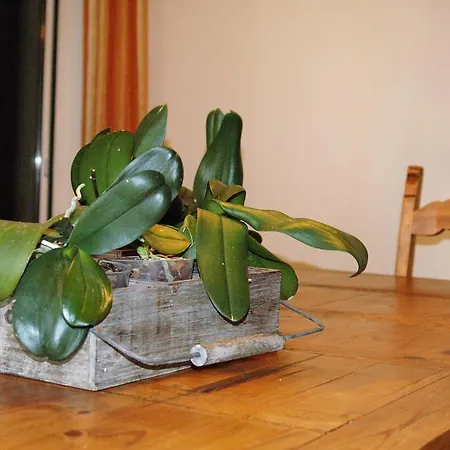 Holiday home Encosta Do Sol *